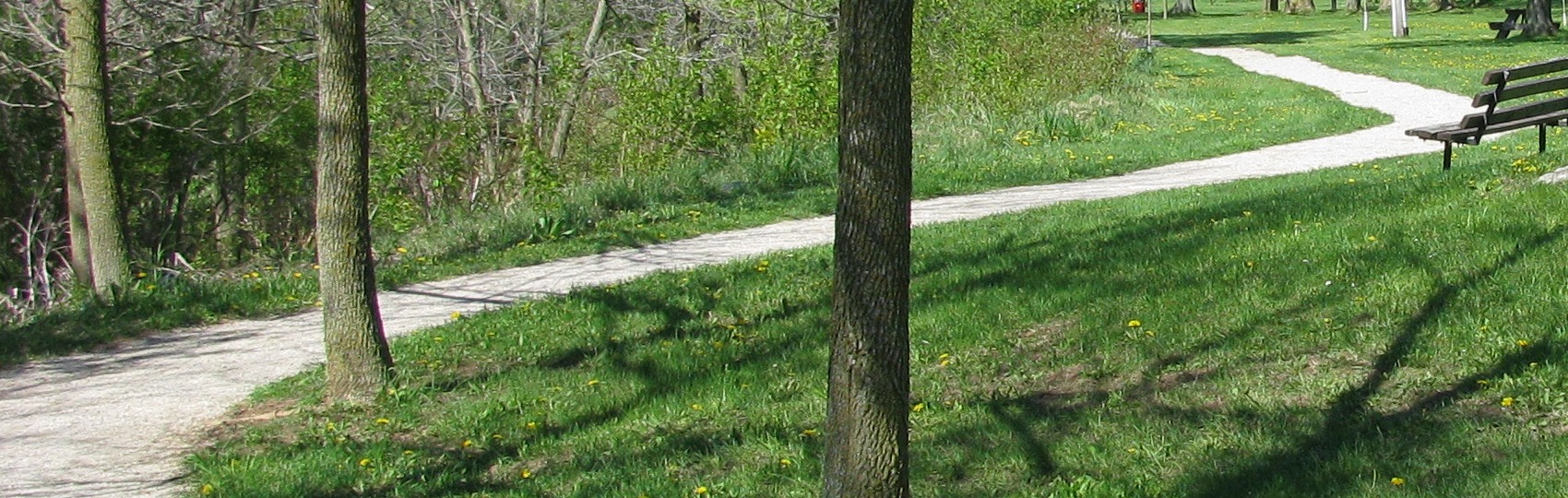 Wingham Trail Splash Pad